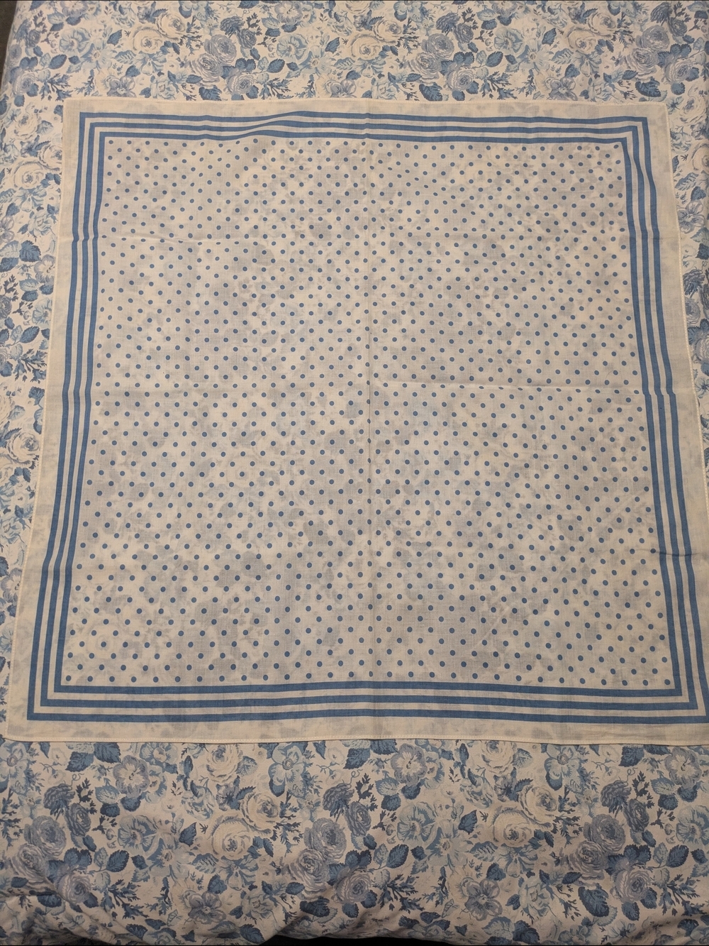 Vintage Cambridge Dry Goods Blue and White Polka Dot Cotton Scarf